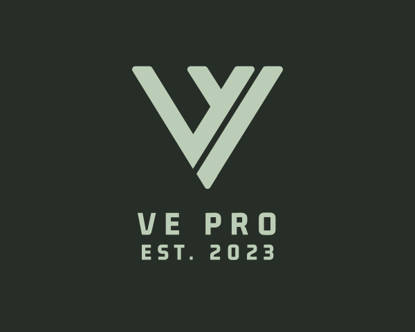 VE Pro Logo